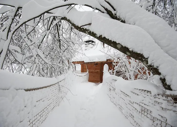 Du Pêcheur Lodge La Bresse